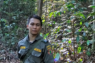Law enforcement and governance. PROFOR